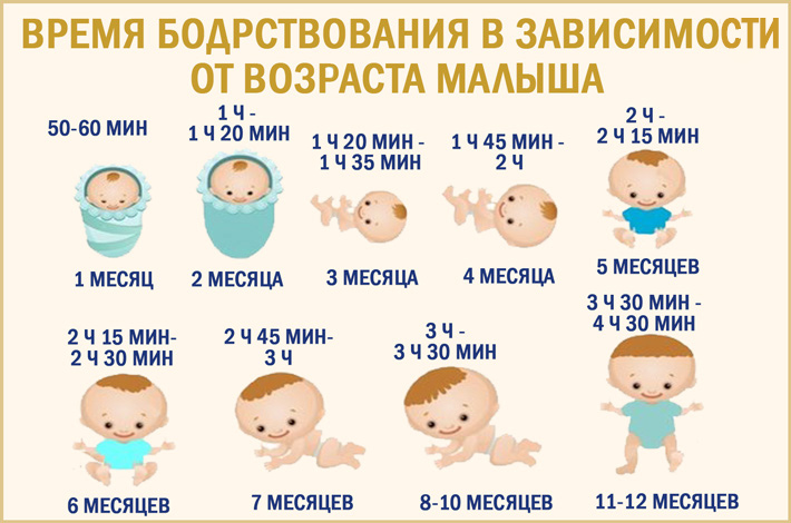 Сколько спят новорожденные ночью. Режим бодрствования ребенка по месяцам. Время бодрствования ребенка по месяцам. Бодрствование грудничка. График дня грудного ребенка по месяцам.